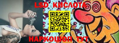 spice Кунгур
