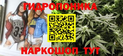 прущие крисы Кулебаки
